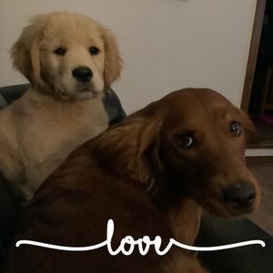 Meet your Posher, Wendy